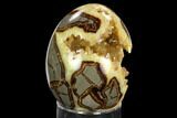 Calcite Crystal Filled Septarian Geode Egg - Utah #123843-1